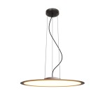 Фото 5 Подвесной светильник Maytoni MOD471PL-L57BK