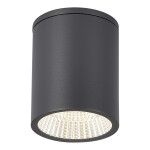 Фото SL9514.712.01 Светильник уличный потолочный ST-Luce серый/белый LED 1*12W 3000K/4000K/6500K TUBO