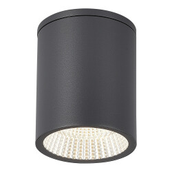 Фото SL9514.712.01 Светильник уличный потолочный ST-Luce серый/белый LED 1*12W 3000K/4000K/6500K TUBO