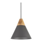 Фото 3 Подвесной светильник Maytoni P359-PL-220-C