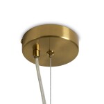 Фото 5 Подвесной светильник Freya FR5482PL-01BS