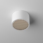 Фото 3 Потолочный светильник Technical C122CL-GX53-W