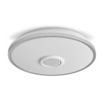 Фото 3 Потолочный светильник Freya FR6226CL-L36W