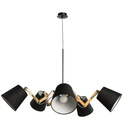Фото Подвесная люстра Arte Lamp PINOCCHIO A5700LM-5BK