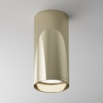 Фото 3 Потолочный светильник Technical C010CL-01G