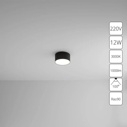 Фото Потолочный светильник Arte Lamp FADO A7312PL-1BK