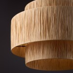 Фото 1 Подвесной светильник Freya FR5249PL-03BG