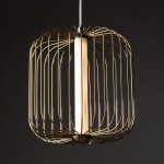 Фото 2 Подвесной светильник Freya FR6131PL-L13BS