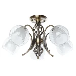 Фото Потолочная люстра Arte Lamp DOLCEMENTE A1607PL-5AB