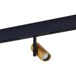 Фото 2 ST808.246.08 Магнитный трековый светильник Золотистый LED 1*8W 4000K 650Lm Ra>90 36° IP20 D42xH135 4 SKYLINE 48