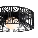 Фото 3 Потолочный светильник Freya FR5405CL-01B