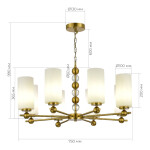 Фото 1 SL2003.303.08 Люстра подвесная ST-Luce латунь/белый E27 8*40W АВРОРА