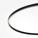 Фото 4 Подвесной светильник Maytoni MOD058PL-L65BK