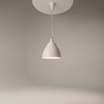 Фото 1 Подвесной светильник Maytoni P534PL-01W