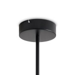 Фото 2 Потолочный светильник Freya FR6178CL-L30B