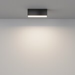 Фото 1 Потолочный светильник Technical C068CL-12W3-6K-B