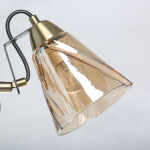 Фото 2 Люстра Гамбург 605016805