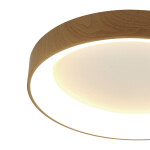 Фото 1 8588 Потолочный светильник NISEKO II