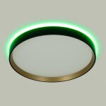 Фото 1 CL750321R ETALON Черный+Золото с пультом и RGB