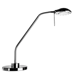 Фото Офисная настольная лампа Arte Lamp FLAMINGO A2250LT-1CC