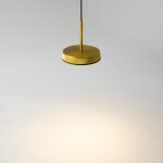 Фото 1 Подвесной светильник Maytoni MOD041PL-L15G3K