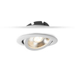 Фото 1 Встраиваемый светильник DA8304DR Ø10.2