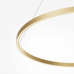 Фото 5 Подвесной светильник Maytoni MOD058PL-L54BSK