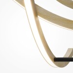 Фото 5 Подвесной светильник Maytoni MOD428PL-L27BK