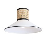 Фото 1 Подвесной светильник Freya FR5483PL-01B3