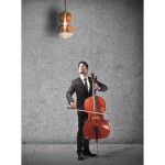 Фото 1 6692 Подвесной светильник SONATA