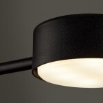 Фото 1 Потолочный светильник Freya FR5363CL-02B1