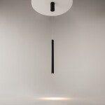 Фото 3 Подвесной светильник Maytoni MOD159PL-L6BK