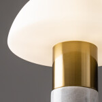 Фото 1 Настольный светильник Freya FR5285TL-01BS