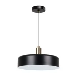 Фото Подвесной светильник Arte Lamp SKAT A7152SP-1BK