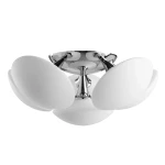 Фото Потолочная люстра Arte Lamp AQUA A2550PL-6CC