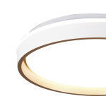 Фото 4 9028 Потолочный светильник VERONA