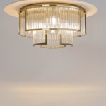 Фото 1 Потолочный светильник Maytoni MOD174CL-06G