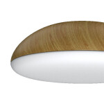 Фото 1 8133 Потолочный светильник KAZZ