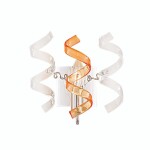 Фото 5 CL222322 Рандом Хром+Прозр+Янт Св-к Бра