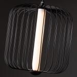 Фото 2 Подвесной светильник Freya FR6131PL-L13B