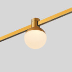 Фото 4 ST815.206.05 Магнитный трековый светильник FARM Золотистый LED 1*5W 3000K 89Lm Ra90 120 IP20 D75xH10 FARM