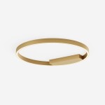 Фото 1 Потолочный светильник Maytoni MOD058CL-L35BSK