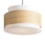 Фото 1 Подвесной светильник Freya FR5492PL-01B