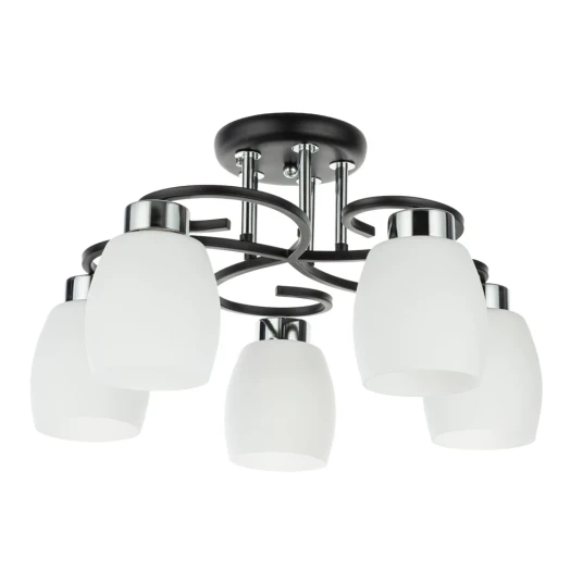 Фото Потолочная люстра Arte Lamp KRIT A4505PL-5BK
