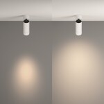 Фото 3 Потолочный светильник Technical C055CL-L12W4K-Z-W