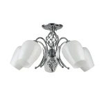 Фото Потолочная люстра Arte Lamp DINA A1608PL-5CC