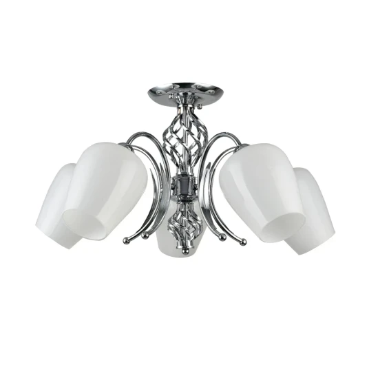 Фото Потолочная люстра Arte Lamp DINA A1608PL-5CC