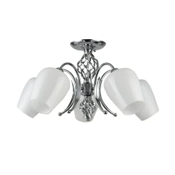 Фото Потолочная люстра Arte Lamp DINA A1608PL-5CC
