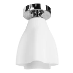 Фото Потолочный светильник Arte Lamp CANZONE A3469PL-1CC