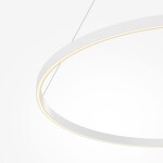 Фото 3 Подвесной светильник Maytoni MOD058PL-L54WK